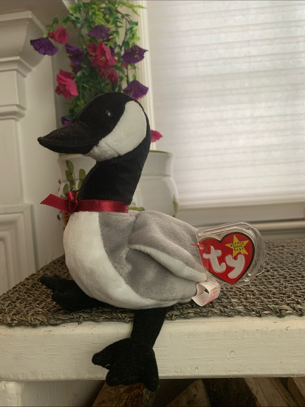Ty 1998 NWT Plush Loosey Goose in Black, White & Gray with Red Ribbon Beanie